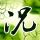 原版披博宋甘皇家大学文凭学位【degxx.com】